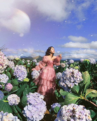 Đà Lạt và NHỮNG MÙA HOA