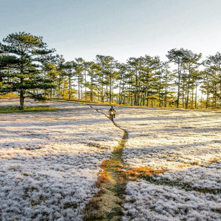 Plan liền kẻo lỡ mất LỄ HỘI ĐỒI CỎ HỒNG lớn nhất được mong chờ nhất trong năm ở Đà Lạt