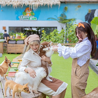 (Đà Lạt) Puppy Garden -  Điểm Đến Cho Người Yêu Cún Siêu Xinh Ở Đà Lạt