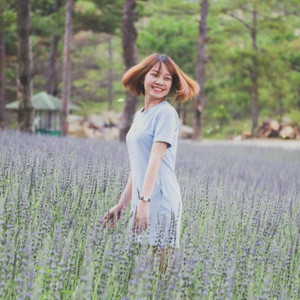 Cánh đồng lavender siêu lãng mạn ở thung lũng tình yêu