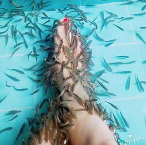 (BMT) Xuất hiện CAFE MASSAGE CÁ đầu tiên ở Buôn Mê Thuột