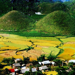 Rủ nhau du lịch Hà Giang ngắm hoa tam giác mạch tháng 10