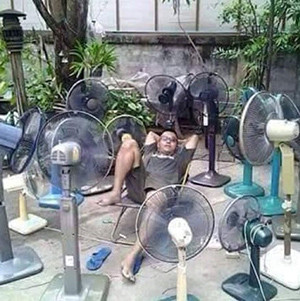 Muôn kiểu tránh nóng cười chảy nước mắt 