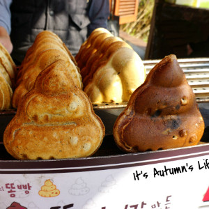 Cực Sốc Với Quán Cafe Lấy... Phân Làm Niềm Cảm Hứng