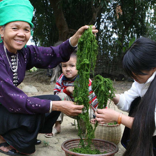 Phượt Tây Bắc thì nhất định không thể bỏ qua 8 đặc sản ít người biết này