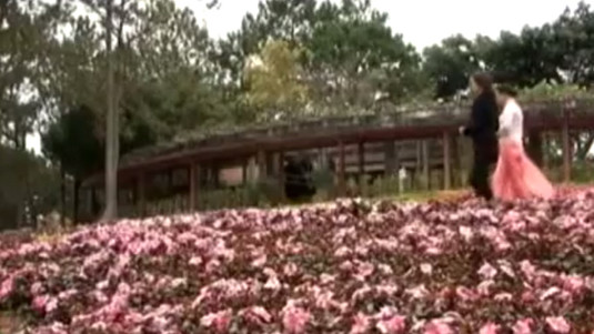 Khu Du Lịch Đồi Mộng Mơ