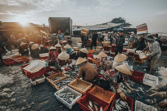 Cảng Cá Cát Lở Vũng Tàu