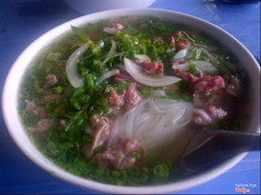 Phở bò
