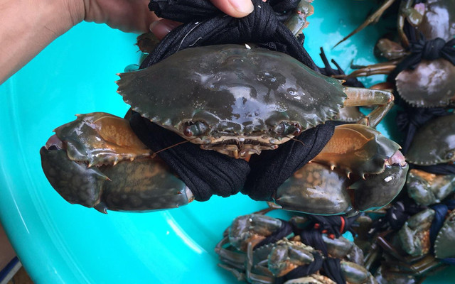 Quán 106 - Cua Cà Mau