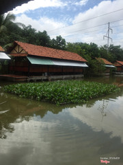 Quán  sửa chữa khang trang , món ăn đa dạng theo mùa.