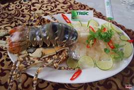 sashimi tôm hùm
