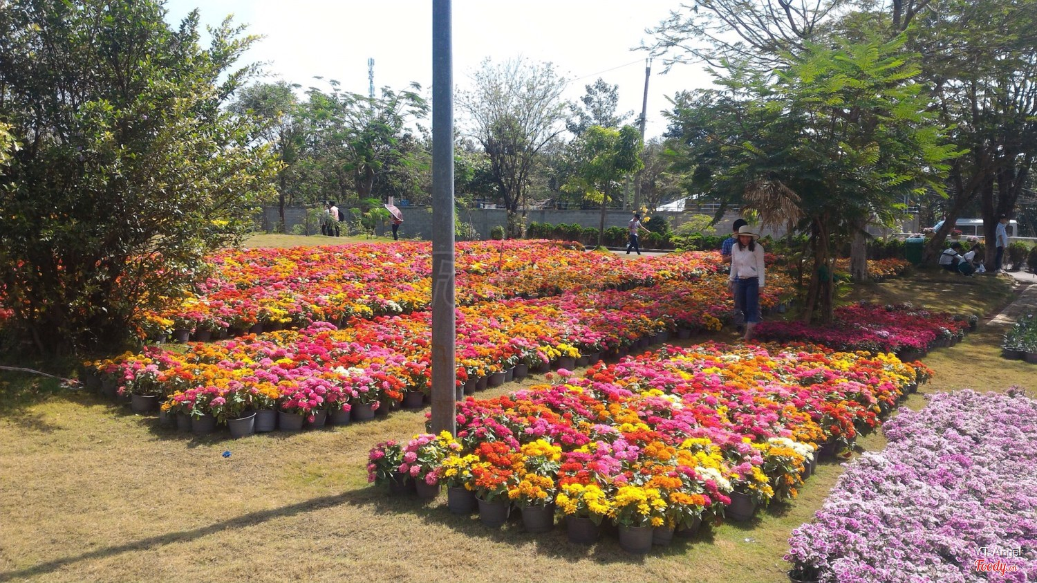 Khu Du Lịch Bửu Long - Vịnh Hạ Long phương Nam 2