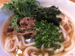 Gyuniku Udon