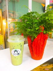 Trà sữa matcha trân châu trắng