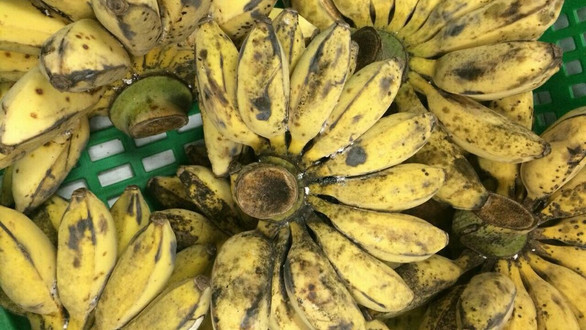 Tiệm Trái Cây Miền Tây - Chung Cư Sư Vạn Hạnh