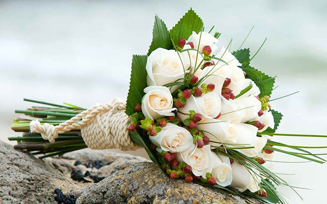 Hoa Tâm Việt - Tân Hóa