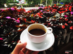 Cà phê mỗi buổi sáng ngắm thành phố trong trong gian ngập hoa còn gì tuyệt hơn.