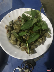 Ốc cà na xào tỏi 50k 