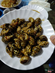 Ốc hương bông