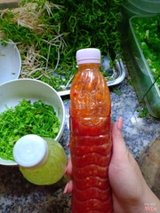 Muối ớt xanh, muối ớt đỏ chấm hải sản  ( nhà làm )