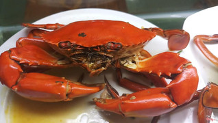 Nguyên con cua hấp lớn 150K