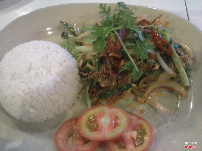 cơm mực sữa 62k