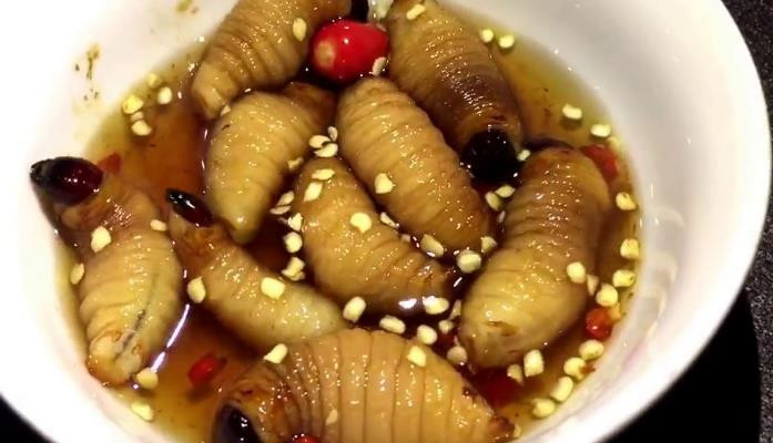 Đặc Sản Côn Trùng Hóc Môn