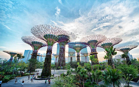 Gardens By The Bay