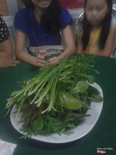 Rau đa dạng