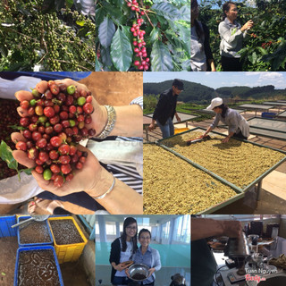 Cà phê được yêu thích khắp nơi  không phải chỉ vì hương vị quyến rủ đặc trưng của nó, mà còn vì cách pha chế rất phong phú và linh hoạt..cà phê thêm đường, thêm sữa, thêm cream, thêm rượu...đến cuối cùng vẫn giữ được mùi vị đặc trưng quyến rủ của nó.Ở Newstars mọi cách pha chế dù đơn giản, phức tạp đến đâu cũng phải phối hợp với sự linh hoạt của cà phê để cho ra môt ly cà phê đậm đà và đủ vị..Còn các bạn, món cà phê yêu thích của các bạn là gì..?^^ #coffee#espresso#cappuccino#latte#mocha#frappuccino#newstarscoffee --------------------------------------------- Newstars Cofee 15 Ngô Văn Trị,Phú Lợi,TDM,Bình Dương
