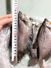 350k/kg