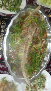 Cá Rồng Thiết Giáp hấp