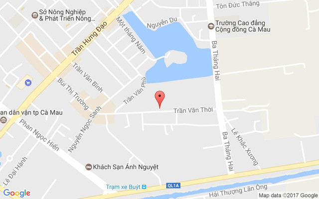 Cà phê Hoa Sen