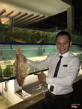 Cá Mú đỏ