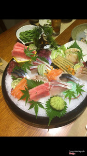 sashimi