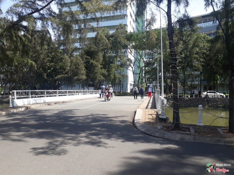 Cầu và kênh bên trong trường