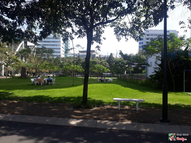 Sinh viên học bài ngoài ghế đá