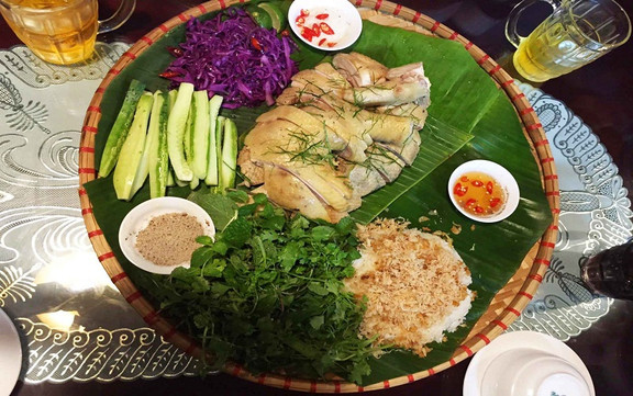 Hồng Phúc - Gà Đông Tảo Tiến Vua