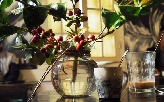 Nắng Hạ Cafe - Nguyên Hồng