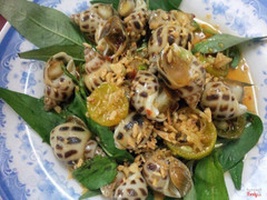 Oc huong chay xao toi,co ai muon an khong