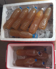 Trà tắc quýt chai 1.5L nguyên chất .