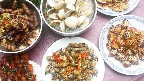 Ốc Nhớ - Hàn Thuyên