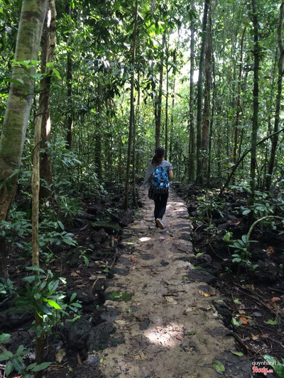Trong rừng, đường rất dễ đi