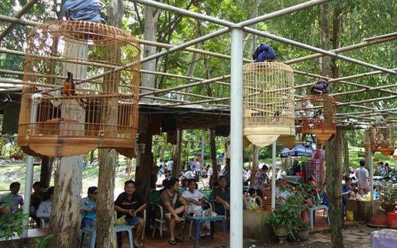 Chim Cảnh Cafe