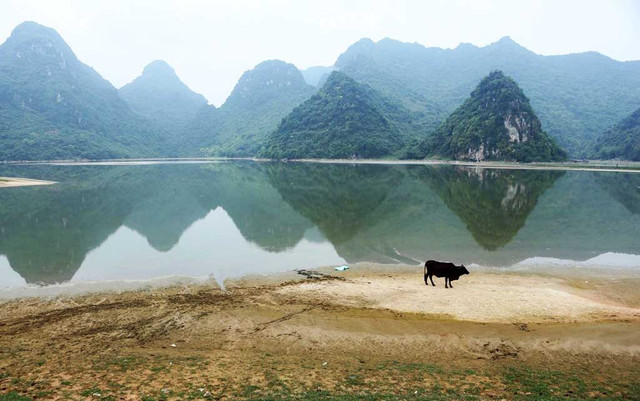Hồ Tuy Lai