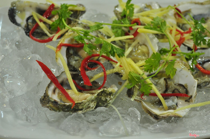 hàu sống tái chanh