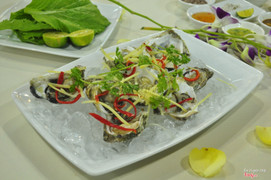 sashimi hàu