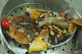 cá mú đỏ hấp