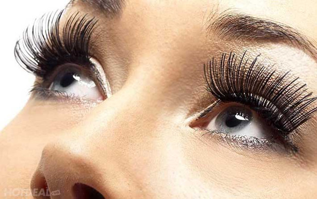 Nối Mi Đẹp Hiền Bé