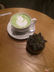 Matcha Latte